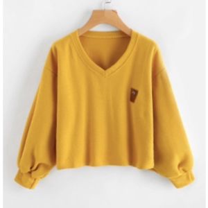 V Neckline Cropped Sweatshirt